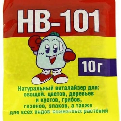 ���� ��-101, ���������� ����� 10 �  