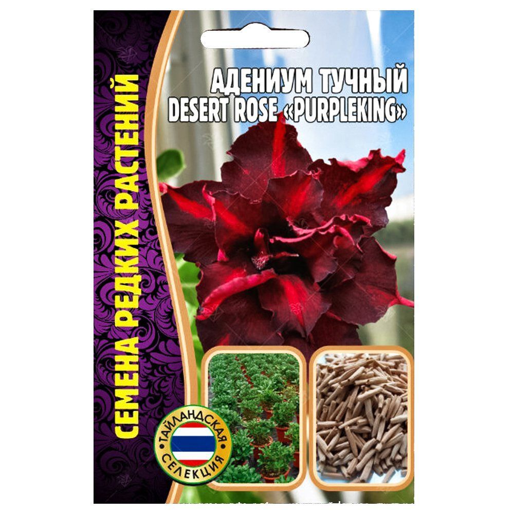    Desert Rose Purple King     -     , -  