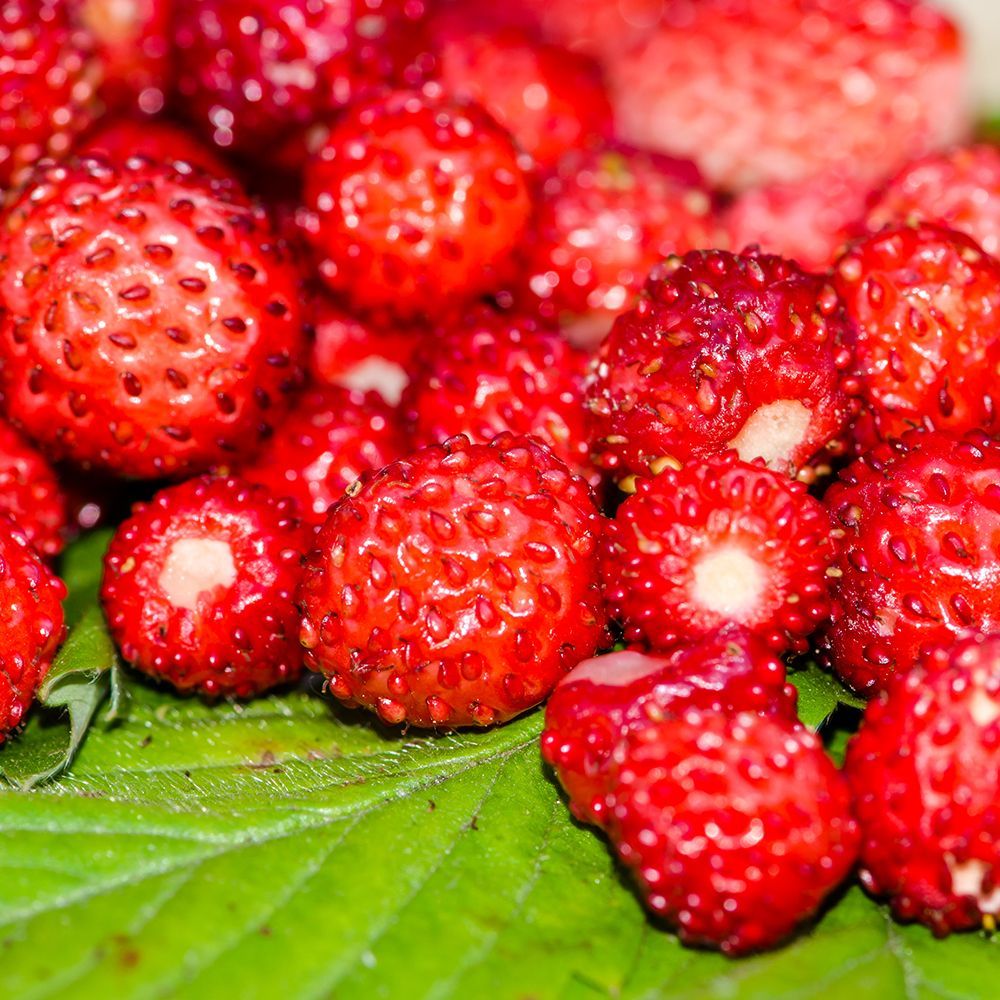 ���� ���������� �������������� ��������  