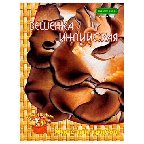 ���� ������� ��������� �����  