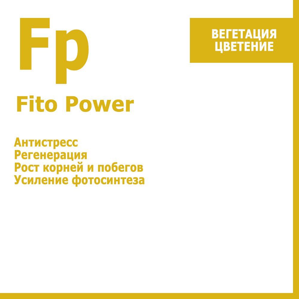   FitoPower,   10    -     , -  