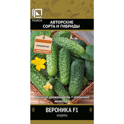 ���� ������ �������� F1  