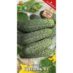 ���� ������ ������ F1  