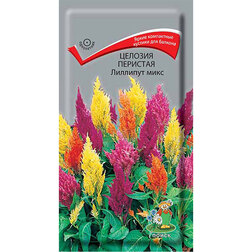 ���� ������� �������� �������� ����  