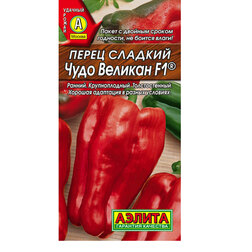 ���� ����� ������� ���� ������� F1  