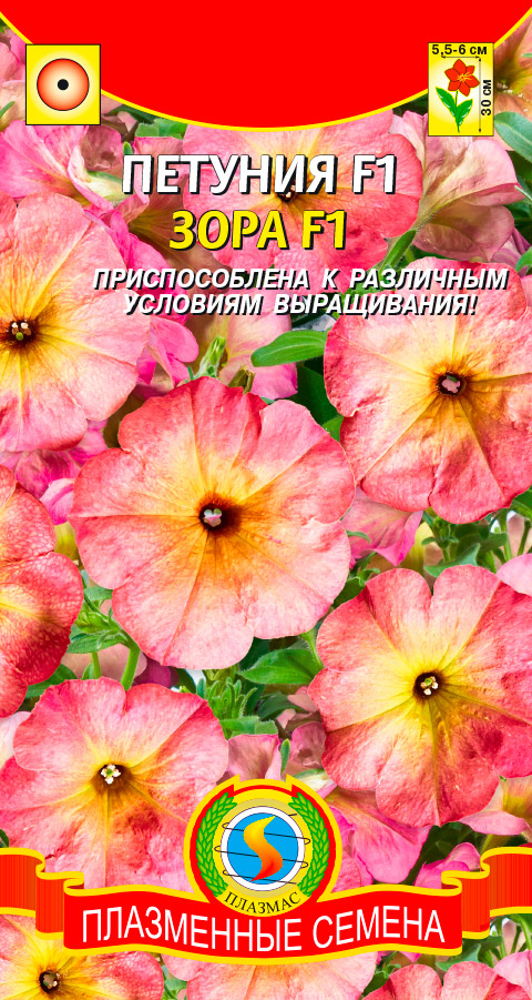 ���� ������ ������� ������� �������������� ���� F1, 10 ��.  