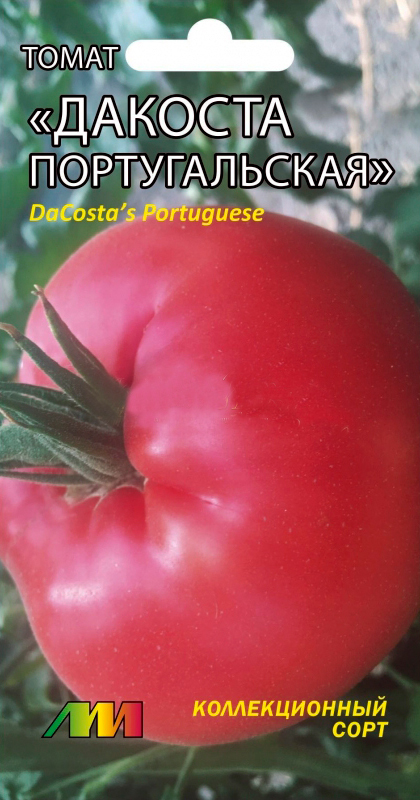          (DaCosta's Portuguese), 5 .     -     , -  