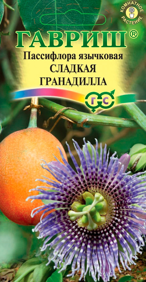 ���� ������ ������ ���������� ��������� ������� ����������, 3 ��.  