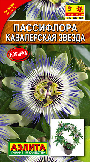 ���� ������ ������ ���������� ����������� ������, 5 ��.  