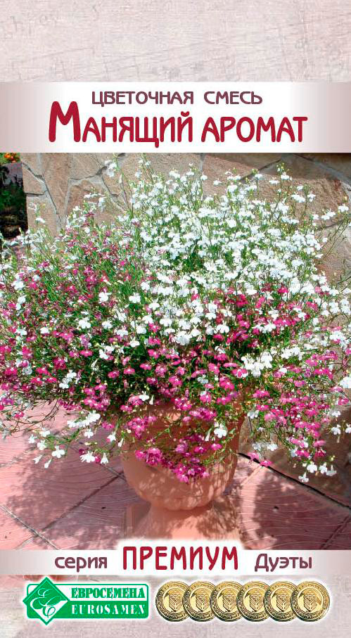 ���� ������ ���������� ��������� ����� ������� ������, 10 ����� ������� �����  