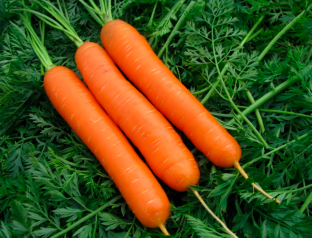 ���� ������ ���������� ������� ����� ������ F1, 0,5 � ������ ���������  