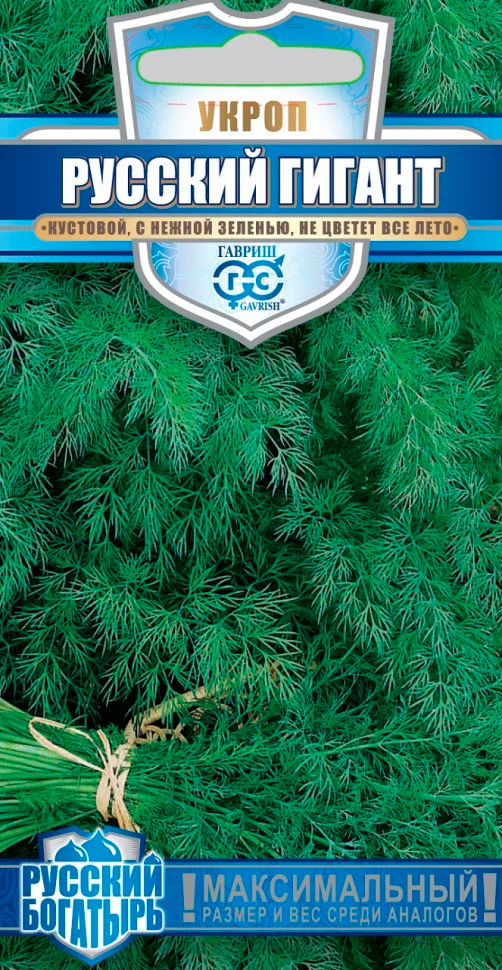 ���� ������ ������ ����� ������� ������, 2 � ������� ��������  