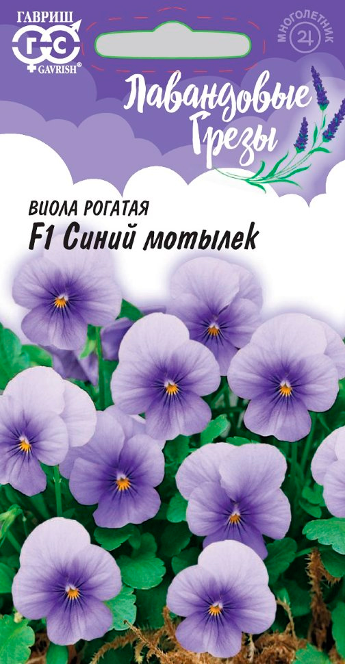 ���� ������ ������ ����� ������� ����� ������� F1, 5 ��. ���������� �����  