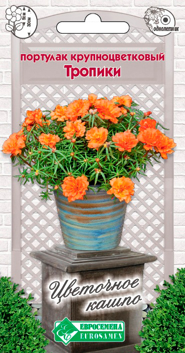 ���� ������ ���������� �������� ��������������� �������, 10 ��. ��������� �����  