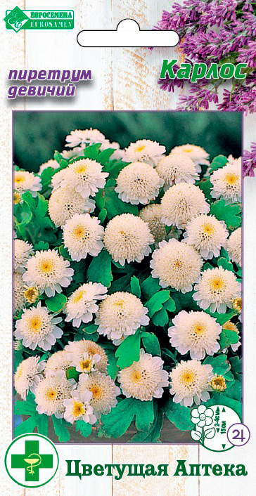 ���� ������ ���������� �������� ������� ������,10 ��. �������� ������  