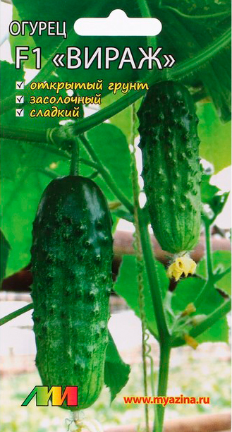 ���� ������ ������ ������ ����������� ������ ����� F1, 8 ��.  