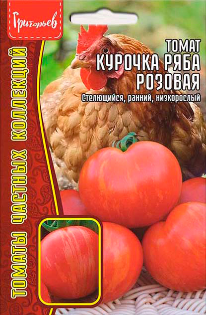 ���� ������ ��������� ����� ������� ���� �������, 10 ��. ������ ������� ���������  