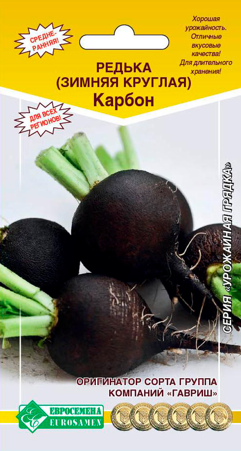 ���� ������ ���������� ������ ������ ������� ������, 1 �  