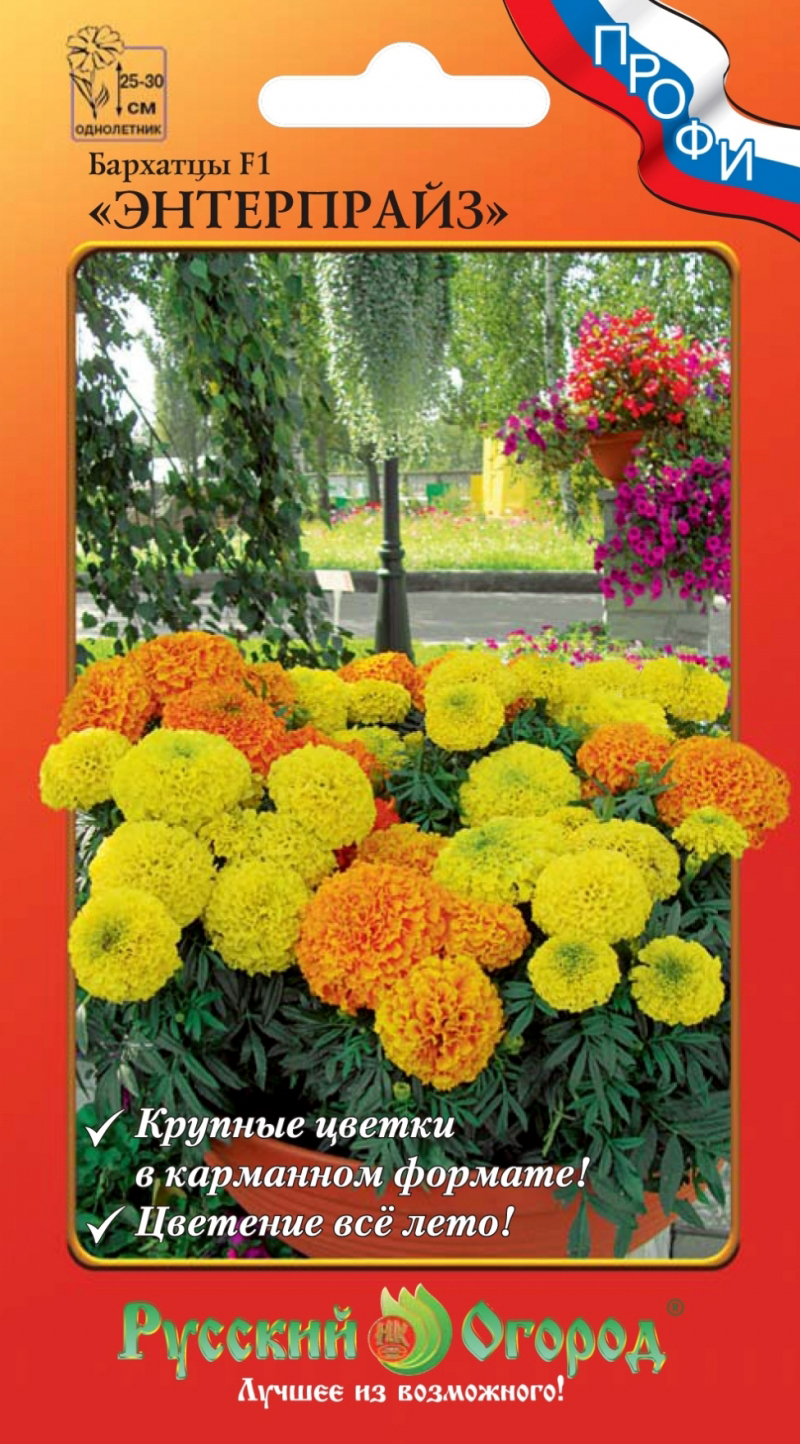 ���� ������ ������� ������ �������� ���������� F1, �����, 10 ��. �����  