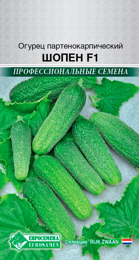 ���� ������ ���������� ������ ����� F1, 5 ��. Rijk Zwaan ���������������� ������  