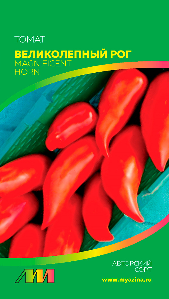 ���� ������ ������ ������ ����������� ����� ������������ ���, 5 ��. ��������� ����  