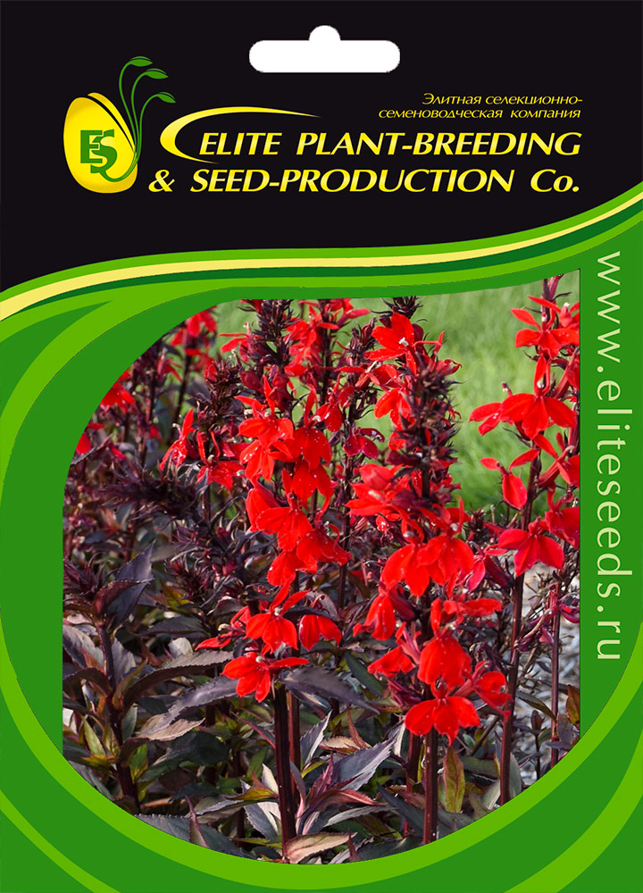    Elite Seeds    F1  , 50 .     -     , -,   