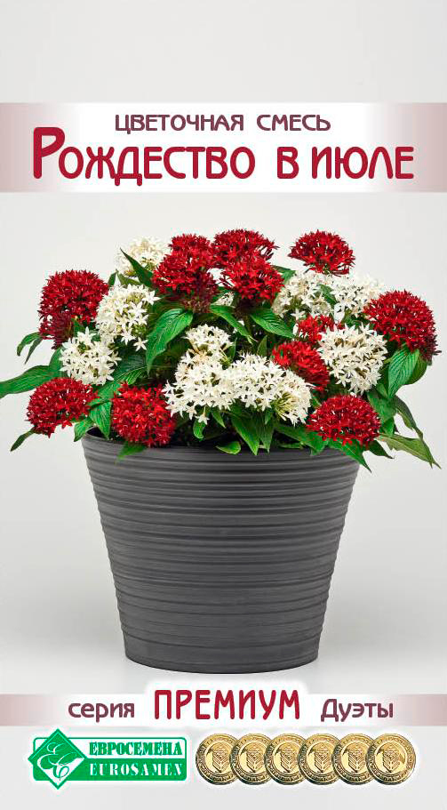 ���� ������ ���������� ��������� ����� ��������� � ����, 4 ����� ������� �����  