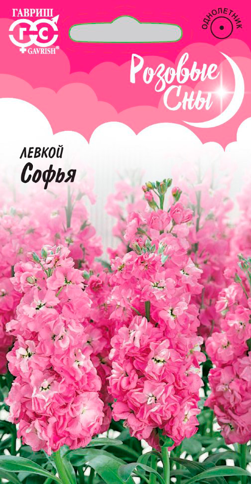 ���� ������ ������ ������ �����, 0,1 � ������� ���  