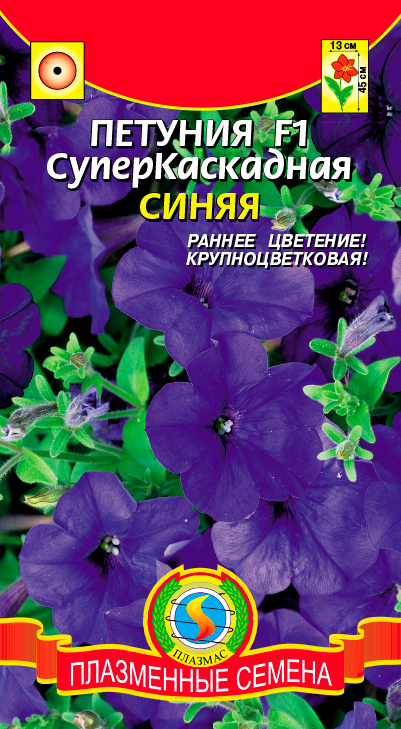 ���� ������ ������� ������� �������������� ����� F1, 10 �����  