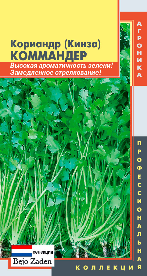 ���� ������ ������� �������� (�����) ���������, 1 � Bejo Zaden ���������������� ���������  