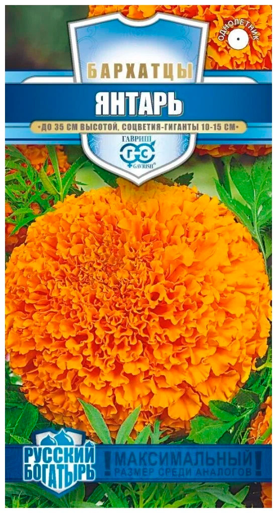 ���� ������ ������ �������� ������, 0,1 � ������� ��������  