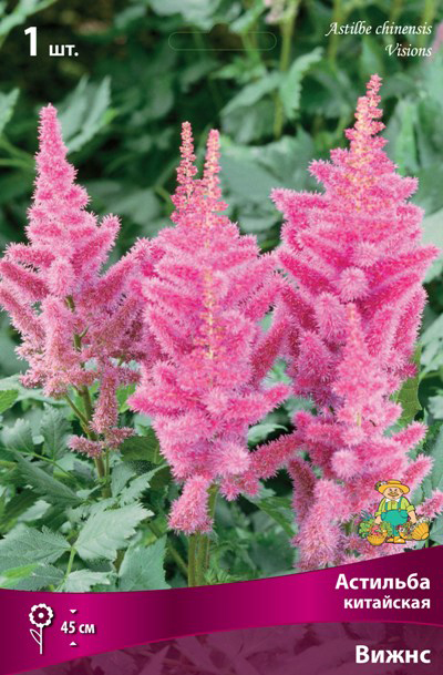 ���� ���������� �������� ����� ��������� �������� ��������� �����, 1 ��.  