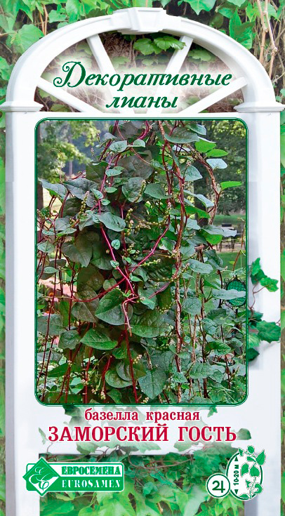 ���� ������ ���������� ������� ��������� �����, 5 ��. ������������ �����  