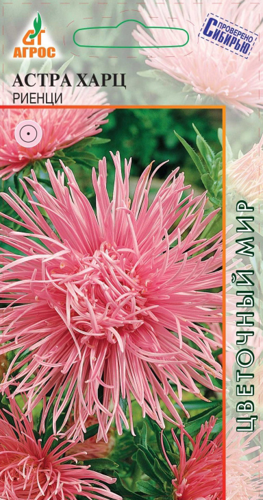 ���� ������ ����� ����� ���� ������, 0,3 � ��������� �������  