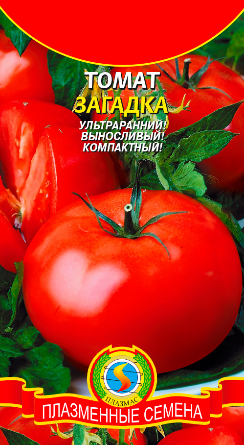 ���� ������ ������� ����� �������, 0,1 �  