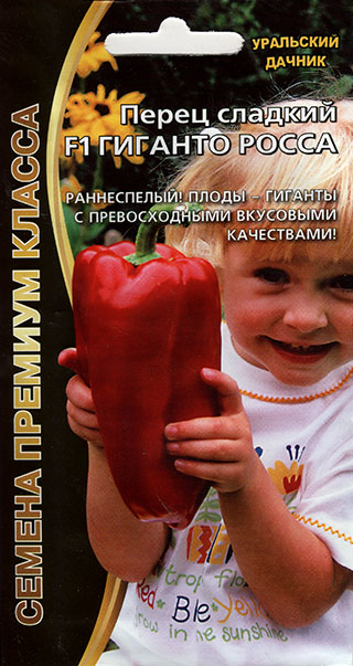 ���� ������ ��������� ������ ����� ������� ������� ����� F1, 20 ��. ������ ������� ������  