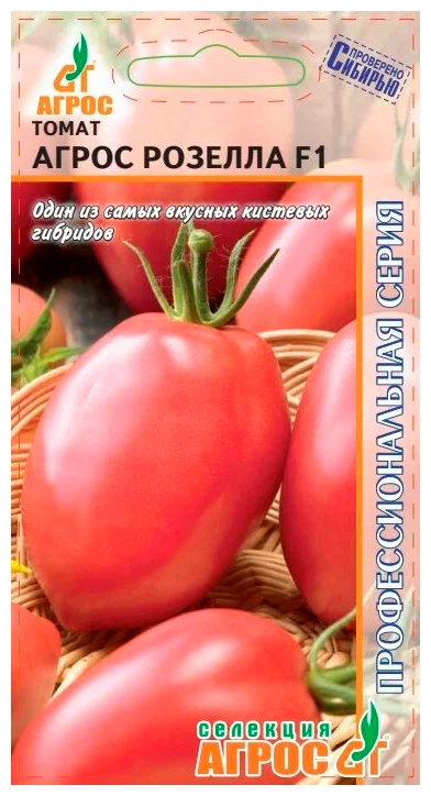 ���� ������ ����� ����� ����� ������� F1, 5 ��. �������� ����� ���������������� �����  