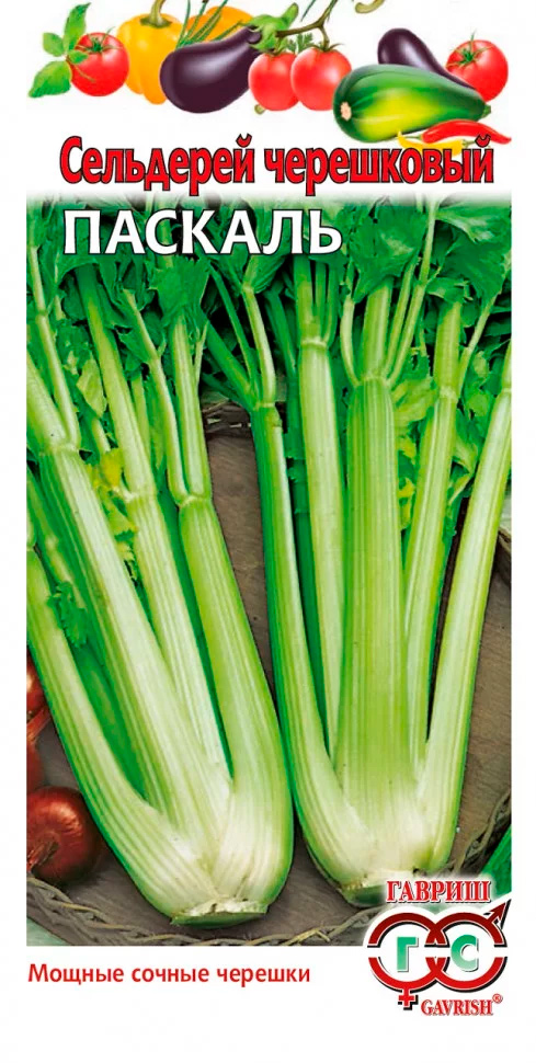 ���� ������ ������ ��������� ���������� �������, 0,1 �  