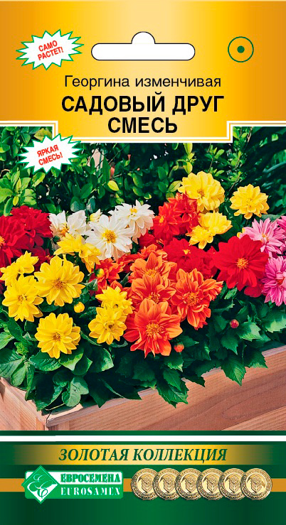 ���� ������ ���������� �������� ���������� ������� ����, �����, 10 ��. ������� ���������  