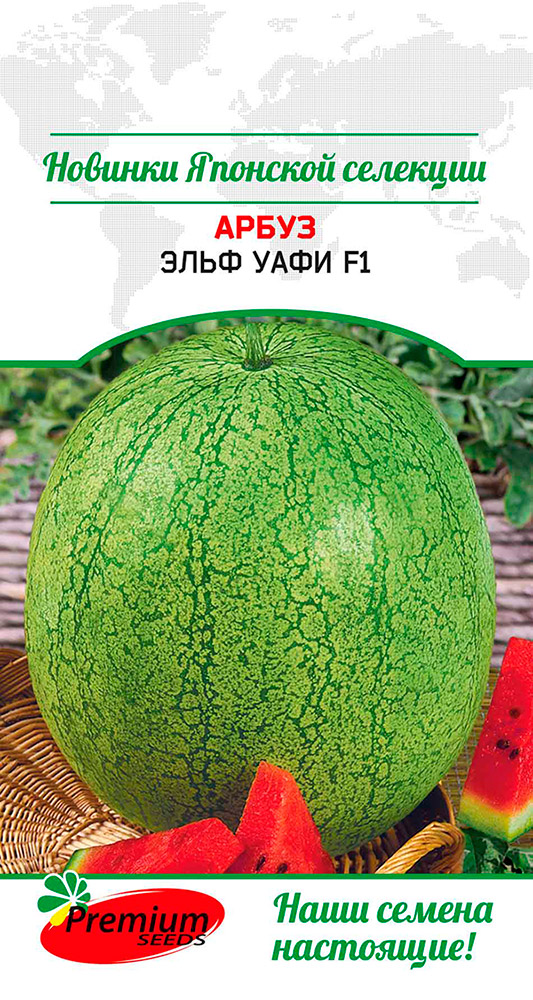   Premium seeds    F1, 5 . Sakata  