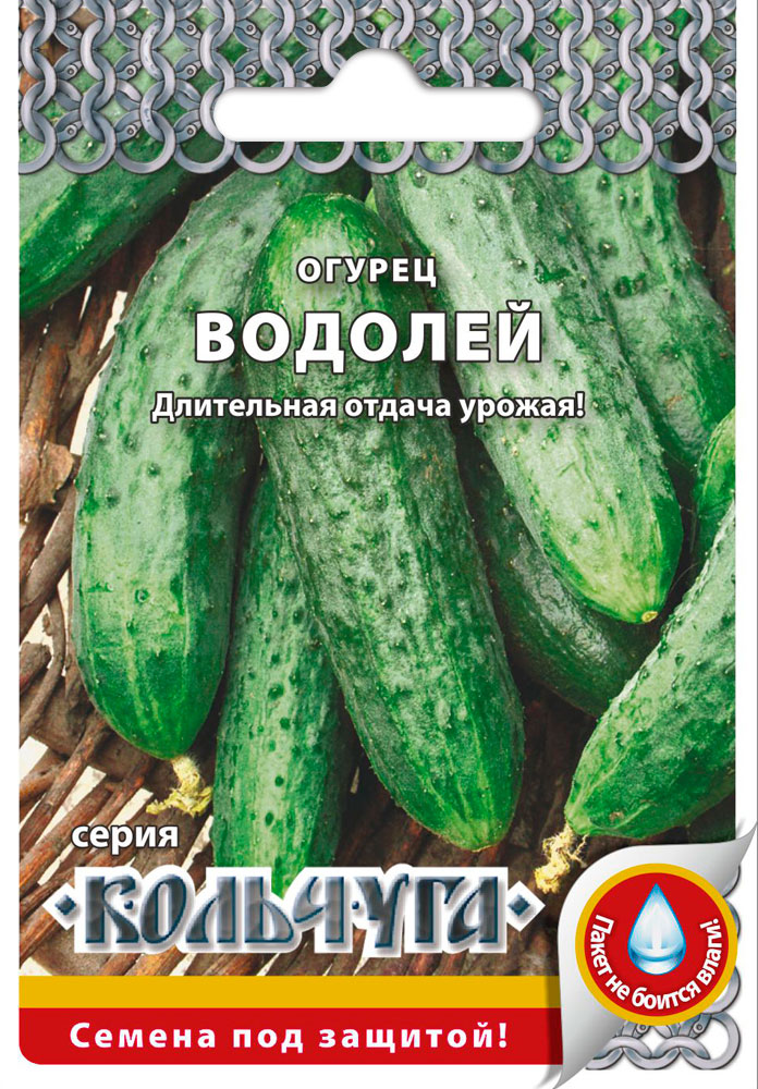 ���� ������ ������� ������ ������ �������, 0,3 � ��������  