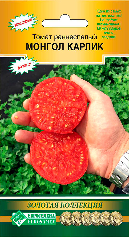 ���� ������ ���������� ����� ������ ������, 10 ��. ������� ���������  