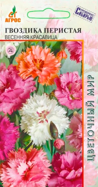 ���� ������ ����� �������� �������� �������� ���������, �����, 0,1 �  