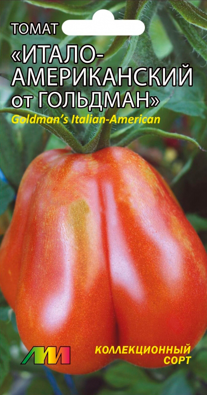 ���� ������ ������ ������ ����������� ����� �����-������������ �� �������� (Goldman's Italian-American) , 5 ��. ������������� ����  