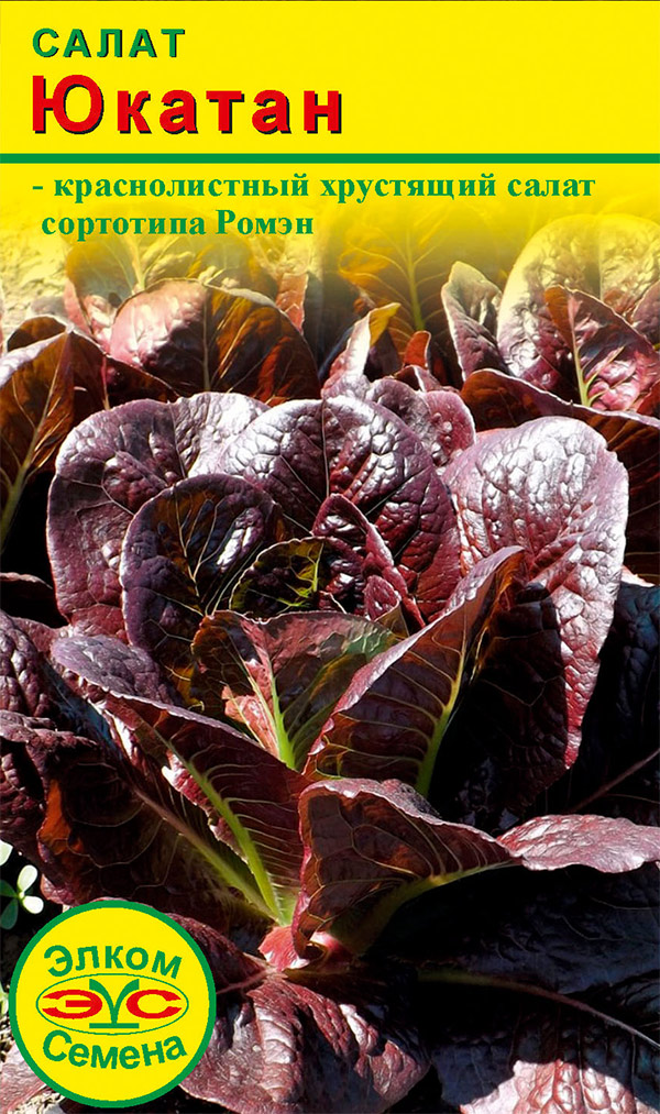 ���� ������ ����� ������ ����� �������, 0,1 �  