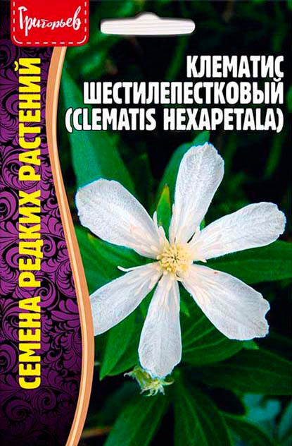       (Clematis hexapetala), 10 .      -     , -,   