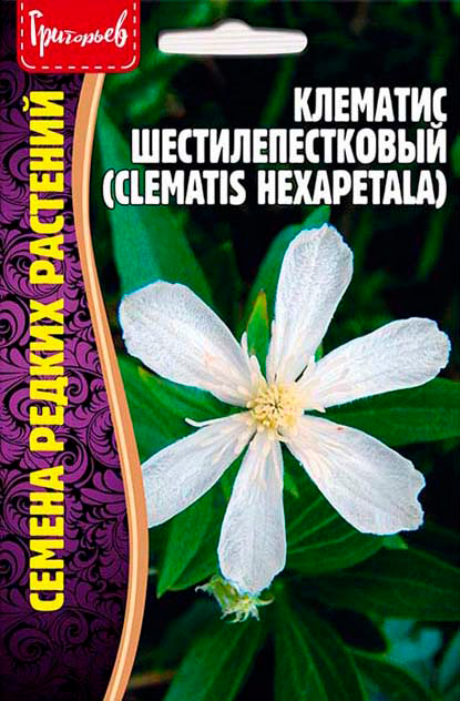       (Clematis hexapetala), 10 .      -     , -  