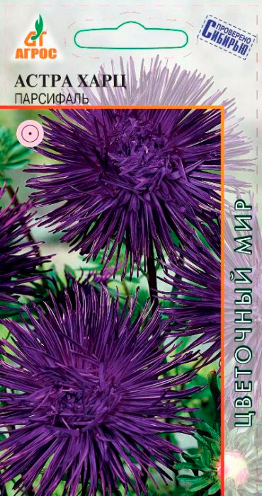 ���� ������ ����� ����� ���� ���������, 0,3 � ��������� �������  