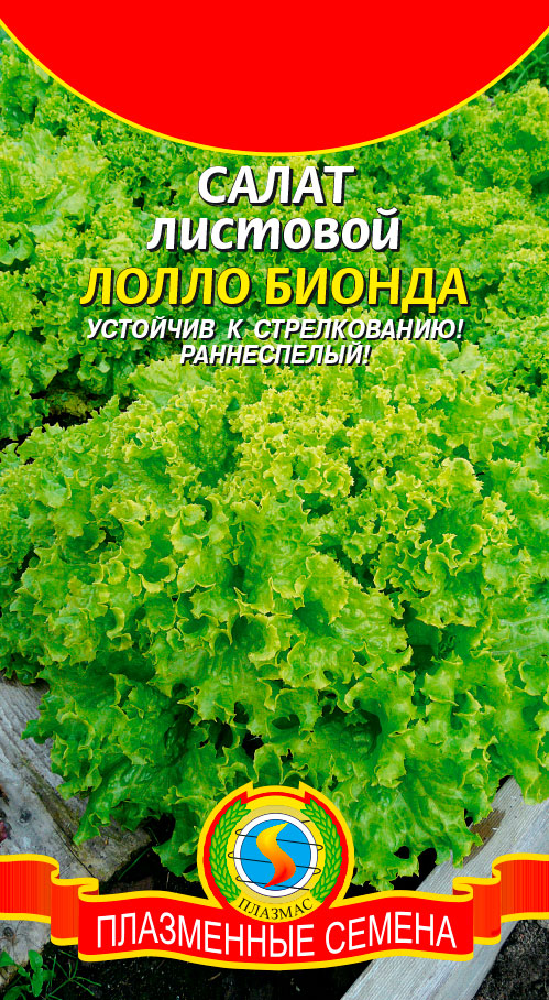 ���� ������ ������� ����� ����� ������, 0,5 �  