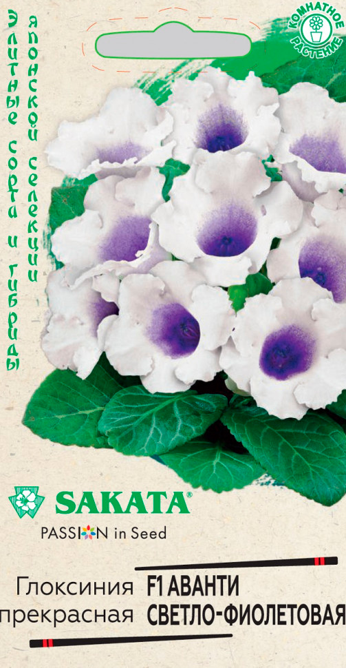      - F1, 5 . Sakata  